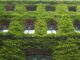 Végétalisation urbaine avec des câbles en inox pour plantes grimpantes
