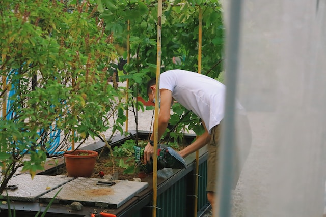 Jardinage urbain