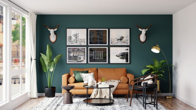 Plantes retombantes rares pour sublimer votre intérieur