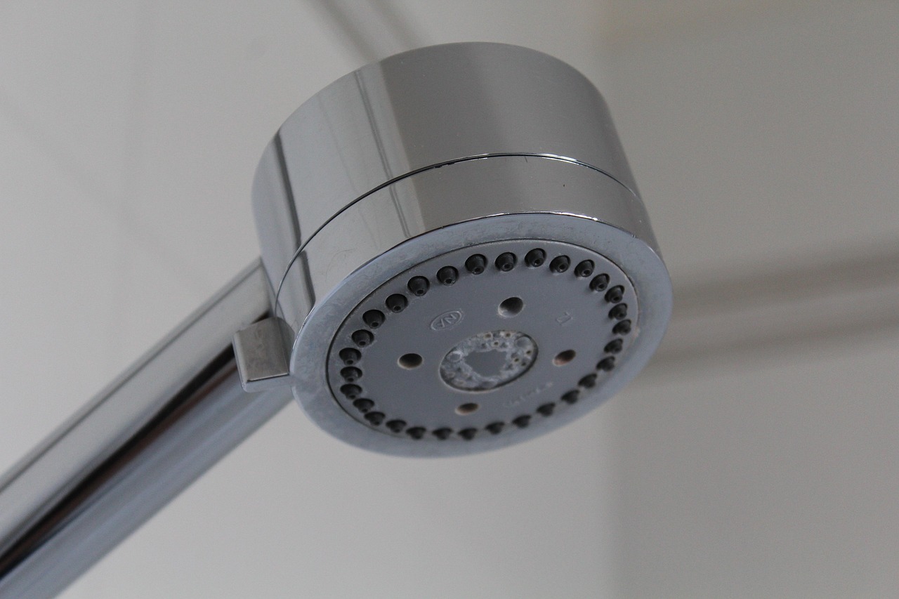 Pommeau de douche