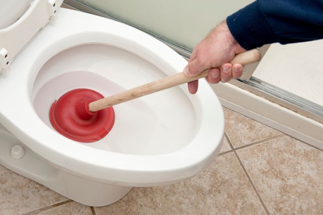 déboucher votre toilette